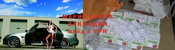 дмт Алзамай