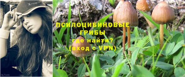 соль курить ск Алексеевка
