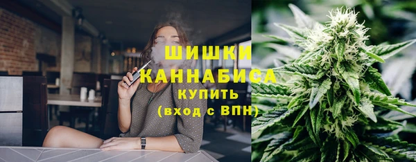 дмт Алзамай