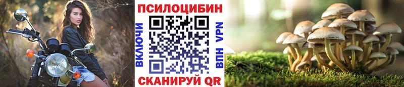 KRAKEN ссылка  Якутск  Псилоцибиновые грибы Psilocybine cubensis 